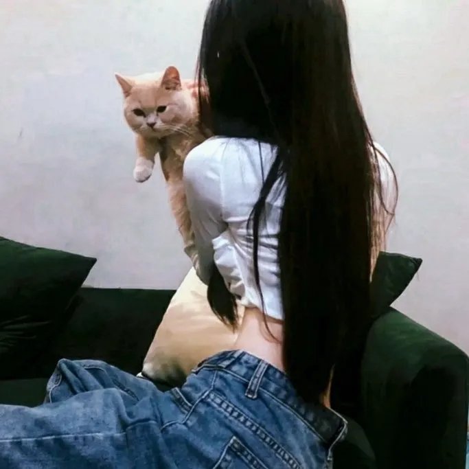 疯狂巨齿鲨